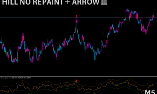 HILL NO REPAINT